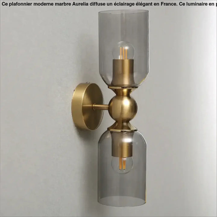 Applique murale moderne trino en laiton avec deux abat-jours en verre fumé et ampoules filament apparentes
