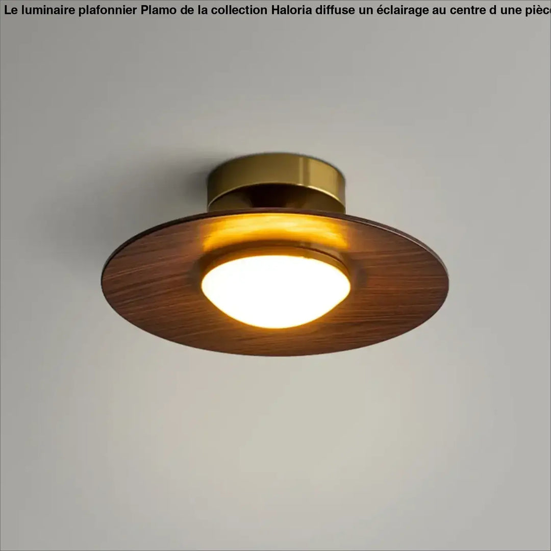 Plafonnier ambiance moderne haut de gamme marron élégant