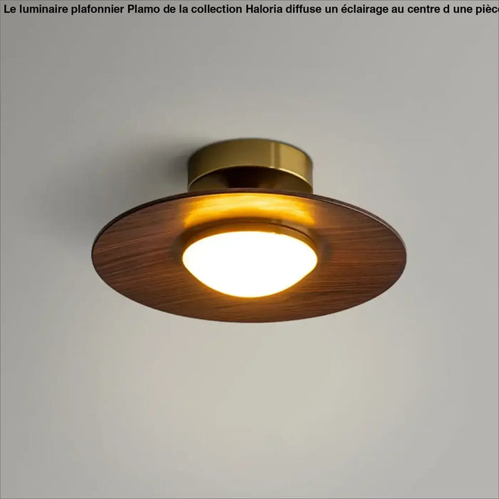 Plafonnier ambiance moderne haut de gamme marron élégant