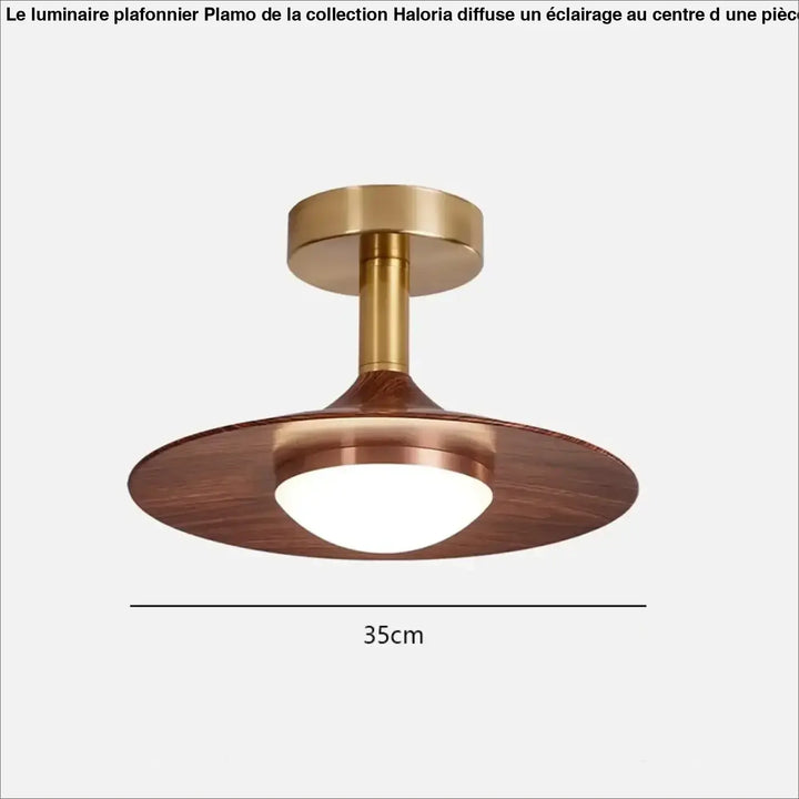 Plafonnier ambiance moderne haut de gamme marron élégant