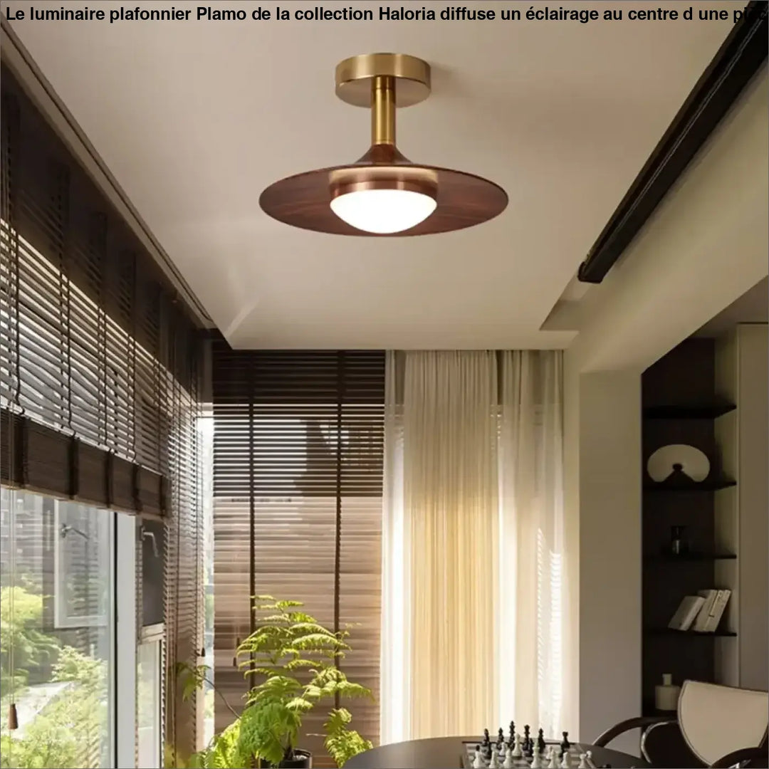 Plafonnier ambiance moderne haut de gamme marron élégant