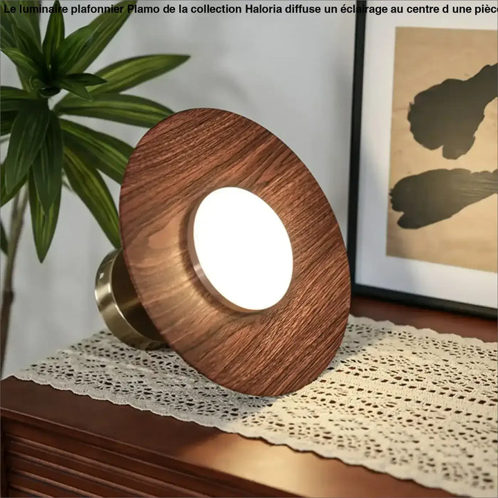 Plafonnier ambiance moderne haut de gamme marron élégant
