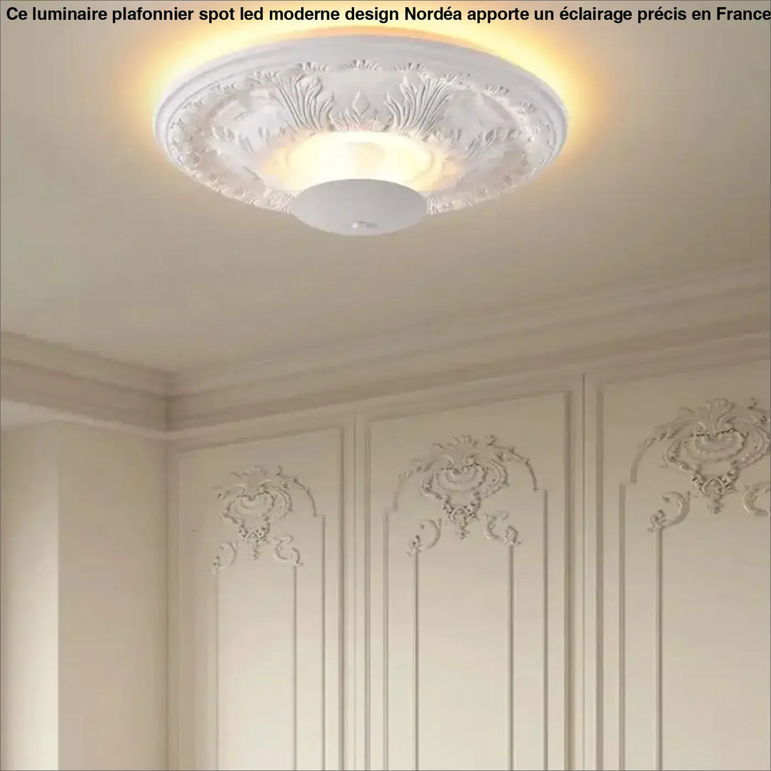 Plafonnier décoratif blanc style classique élégant décor élégant