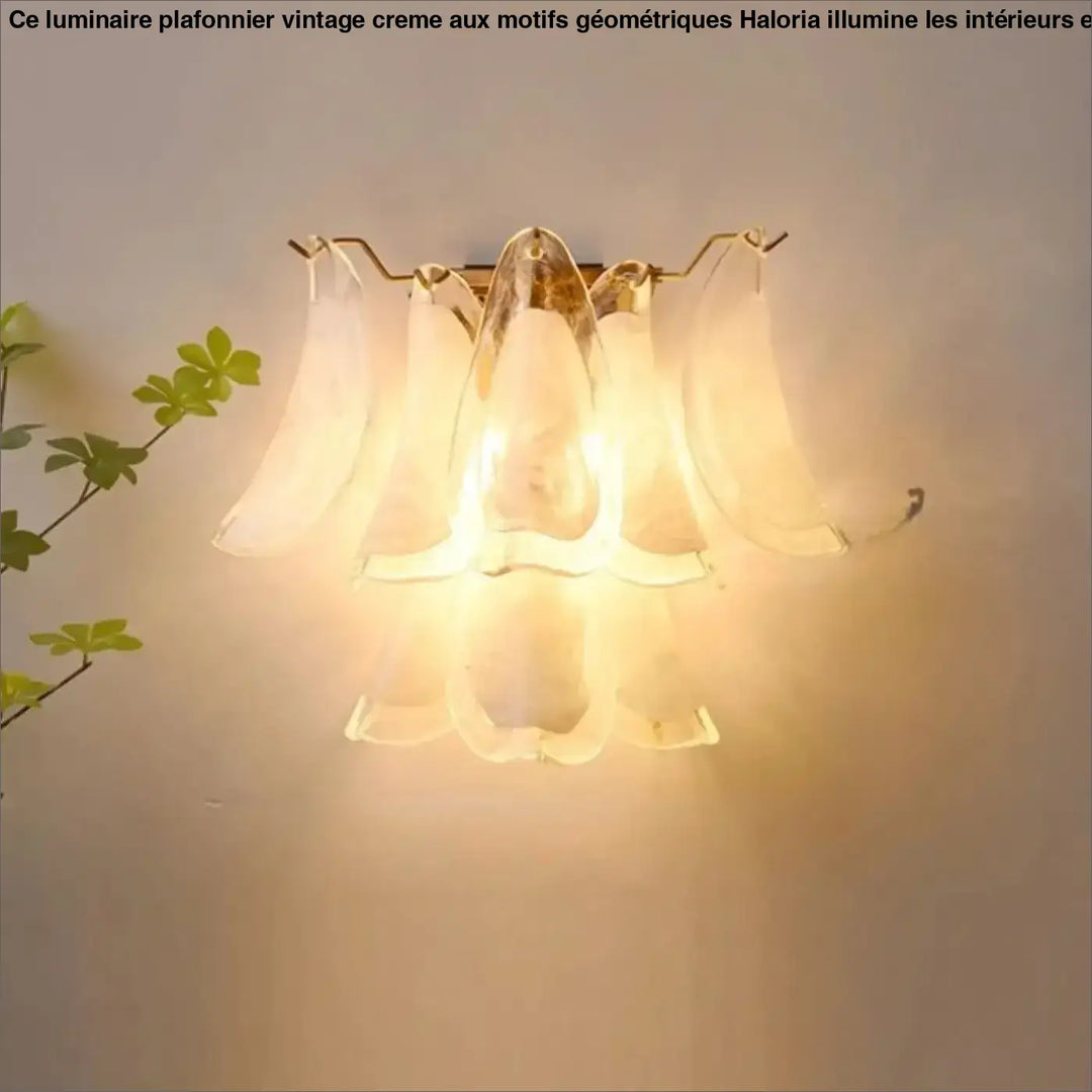 Applique murale nika en verre transparent à effet fleur lumineuse avec cadre métallique finition or chaud