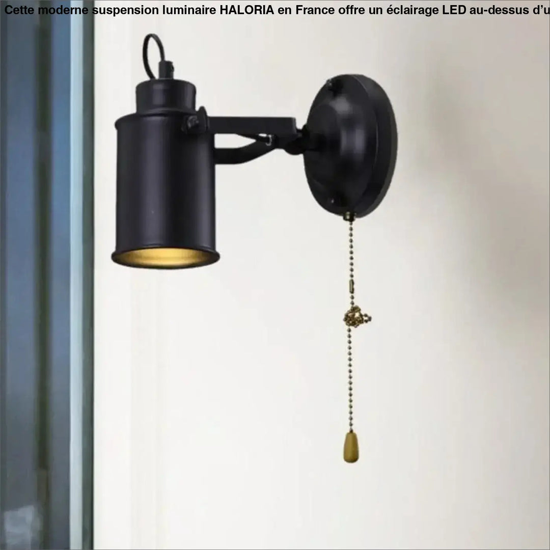 Black industrial-style moderne suspension luminaire with matte finish adjustable arm and brass pull chain by haloria