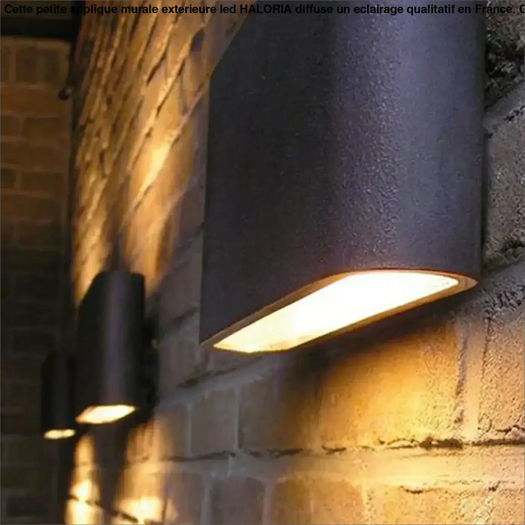 Petite Applique Murale Extérieure LED Noire ou Blanche
