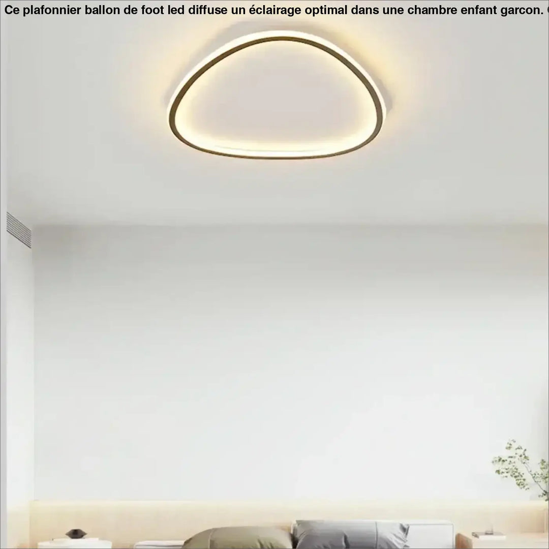 Plafonnier LED à forme organique asymétrique, au style contemporain

