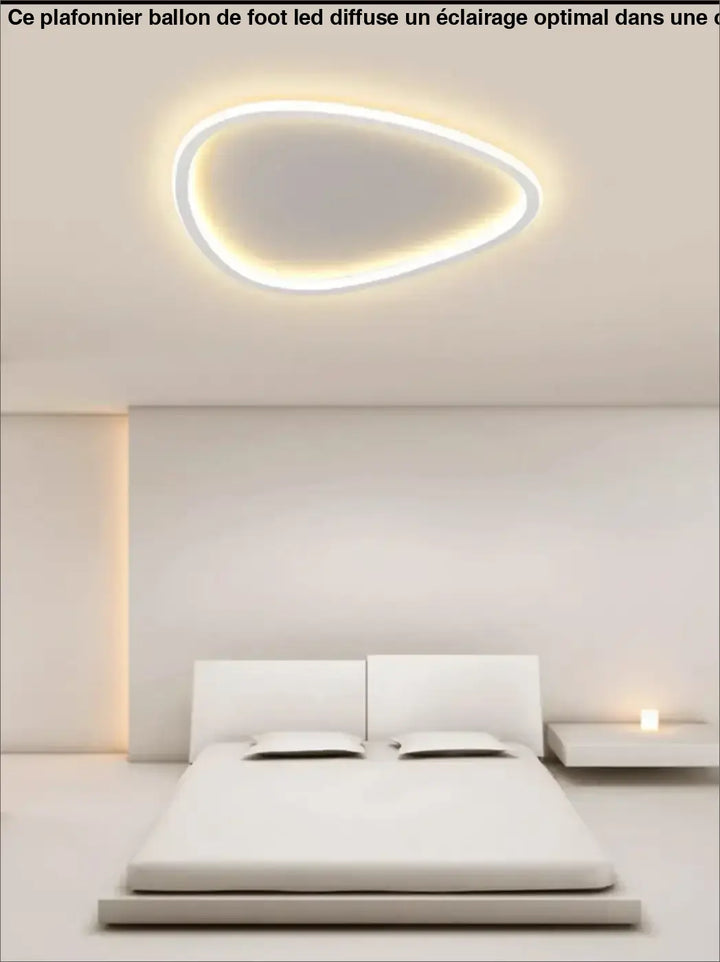 Plafonnier LED à forme organique asymétrique au style contemporain