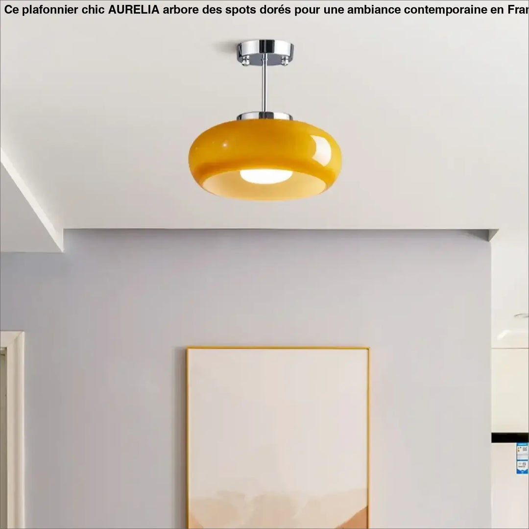 Retro ceiling light Bedroom Dining Room Antique Orange glass light France Style Medieval dining room Bauhaus yellow