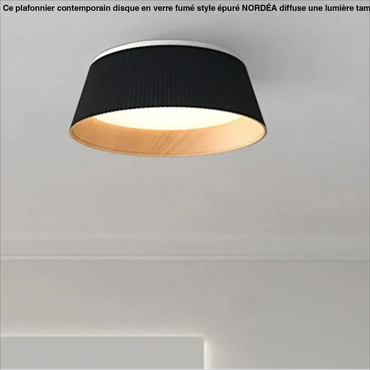 Plafonnier moderne en métal et abat-jour blanc ou noir