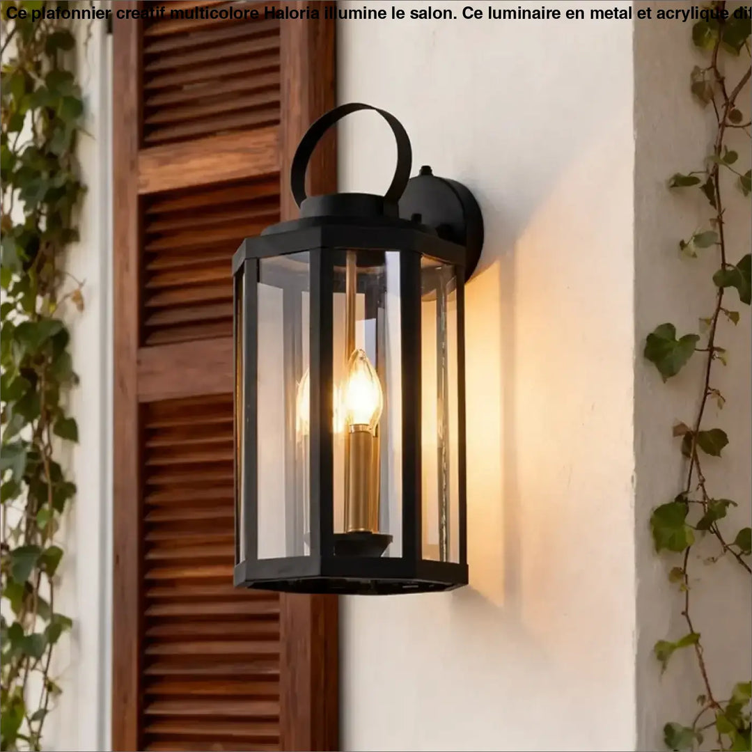 Applique extérieure noire avec verre transparent élégant