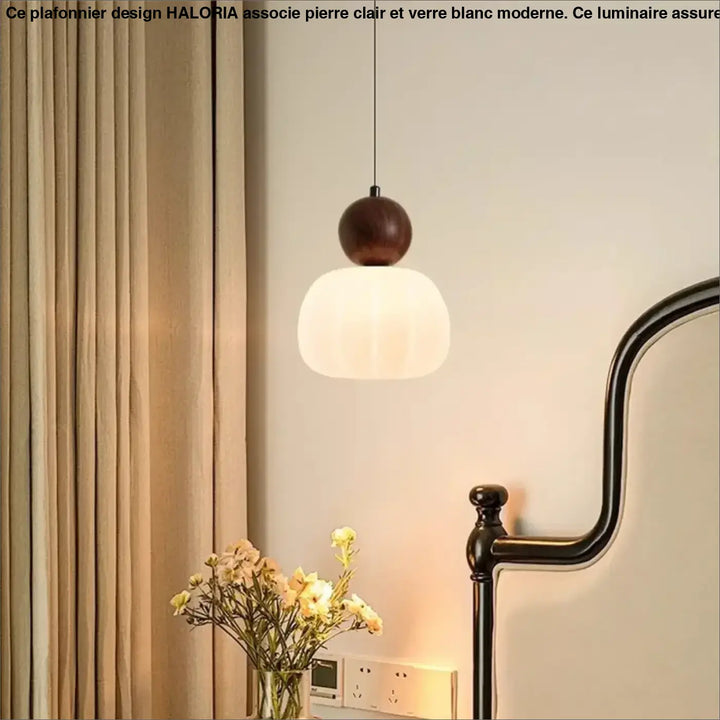 Suspension Luminaire Minimaliste en Verre et Bois Coloré


