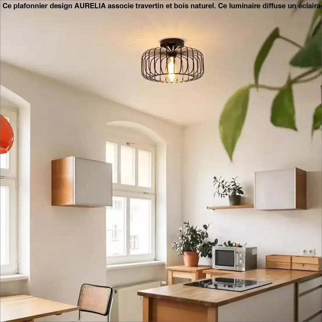 Luminaire plafonnier style industriel en fer forgé noir cage avec ampoule visible esthétique inspirée styriel
