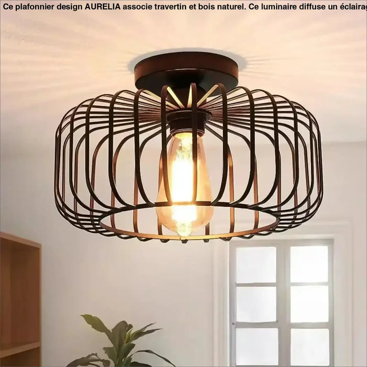 Luminaire plafonnier style industriel en métal bronze foncé avec cage et ampoule edison pour une esthétique inspirée