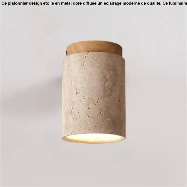 Luminaire plafonnier terris en béton cylindrique avec sommet en bois naturel et éclairage chaud diffus
