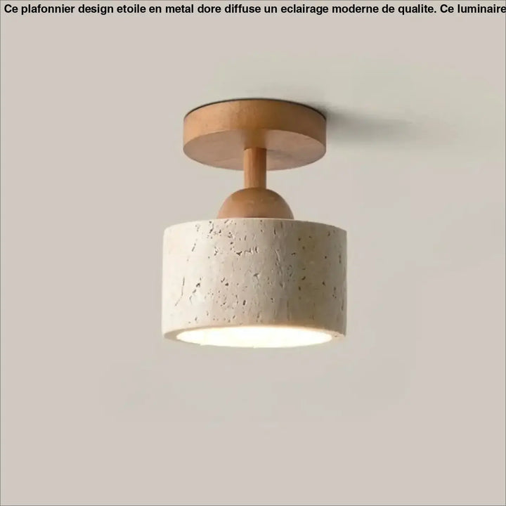 Luminaire plafonnier terris avec base en bois chaud et abat-jour en béton texturé ivoire minimaliste