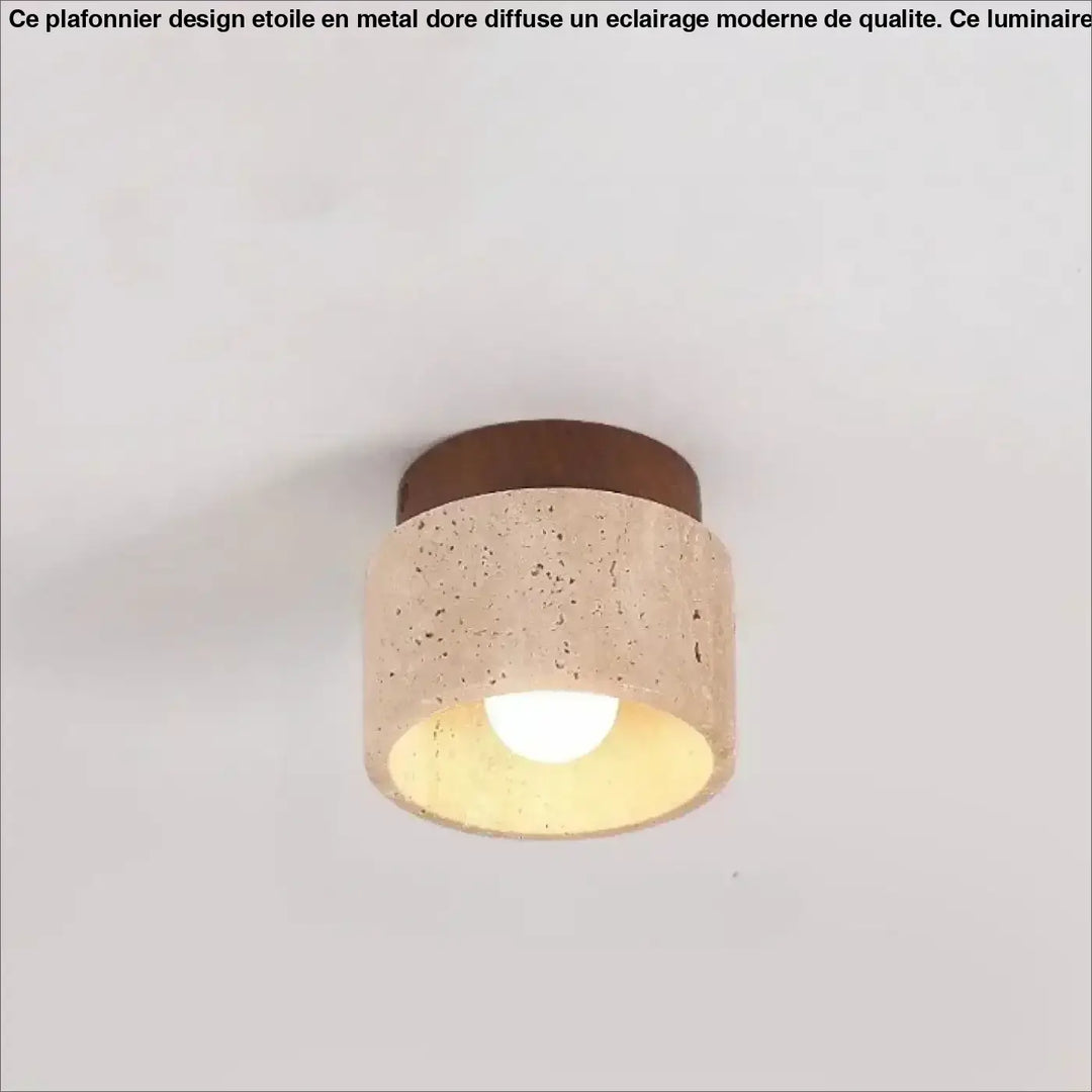 Luminaire plafonnier terris en béton rustique et bois avec ampoule chaleureuse suspendu au plafond
