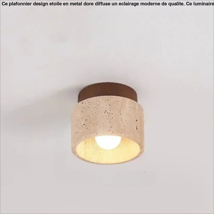 Luminaire plafonnier terris en béton rustique et bois avec ampoule chaleureuse suspendu au plafond