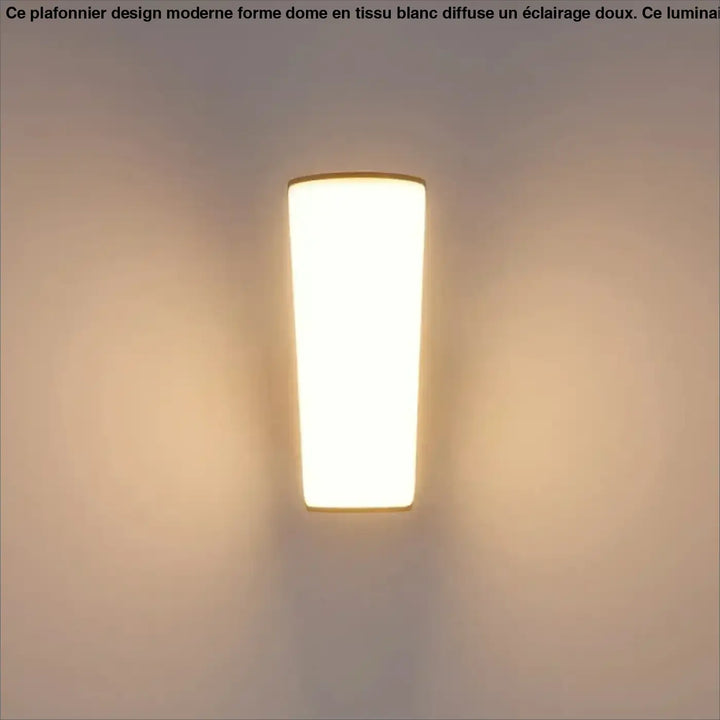 Applique Murale LED Design Moderne Blanche Éclairage Doux