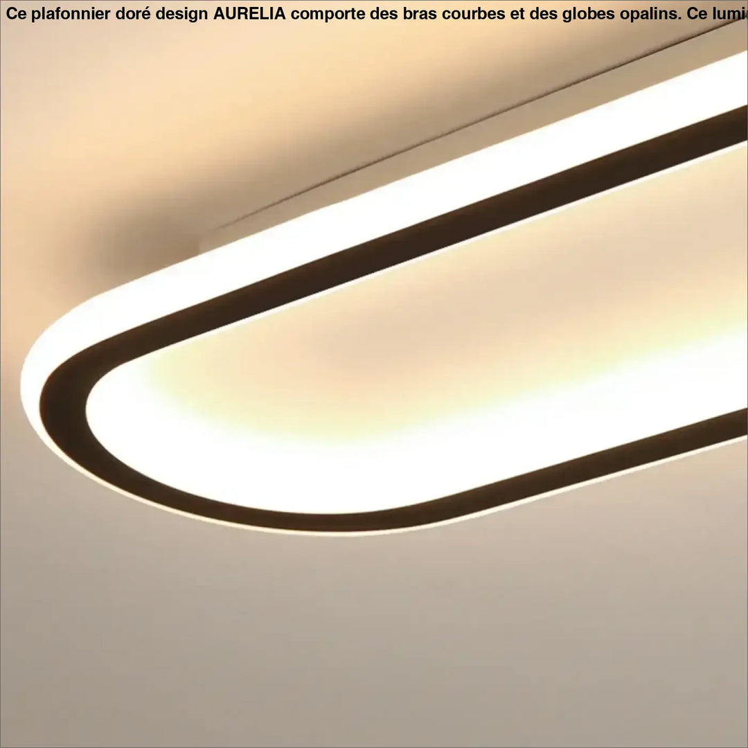 Plafonnier LED Ovale Minimaliste Pour Intérieur Moderne

