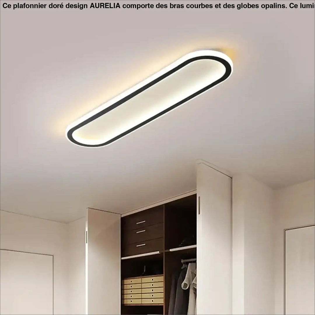 Plafonnier LED Ovale Minimaliste Pour Intérieur Moderne

