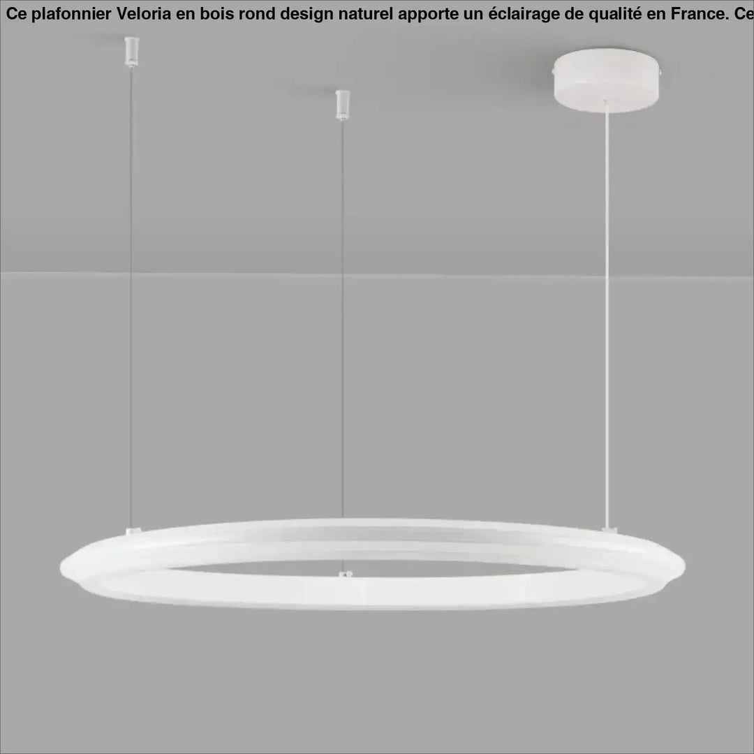 Suspension led design rond style moderne élégant