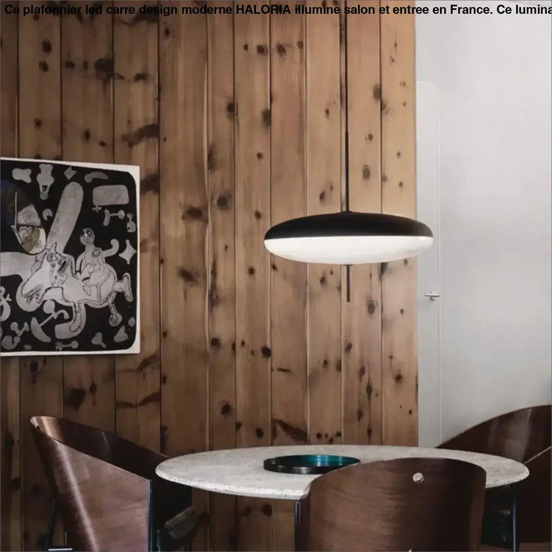 Suspension Disque LED Moderne Minimaliste Noire Et Blanche

