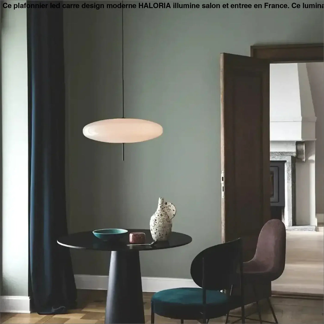 Suspension Disque LED Moderne Minimaliste Noire Et Blanche

