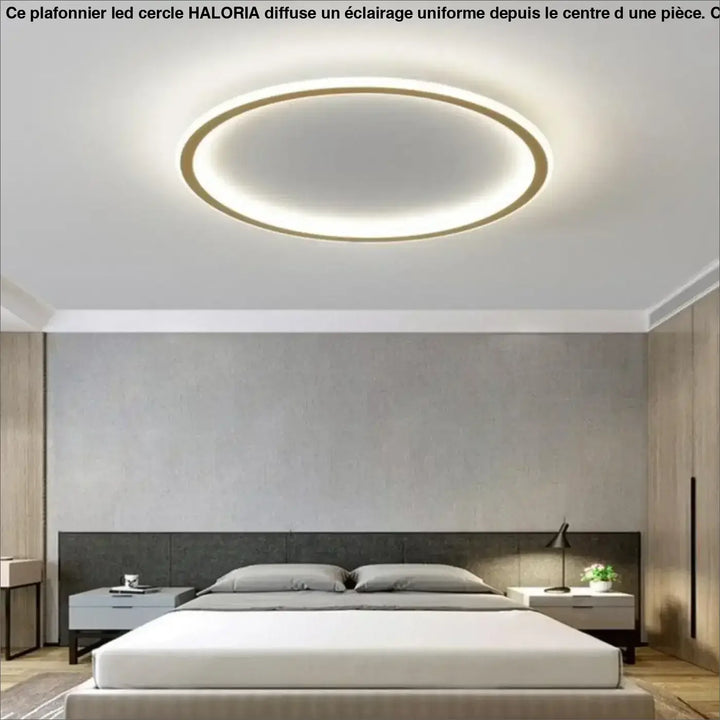 Plafonnier led cercle haloria moderne avec deux anneaux concentriques éclairage blanc et cadre doré minimaliste