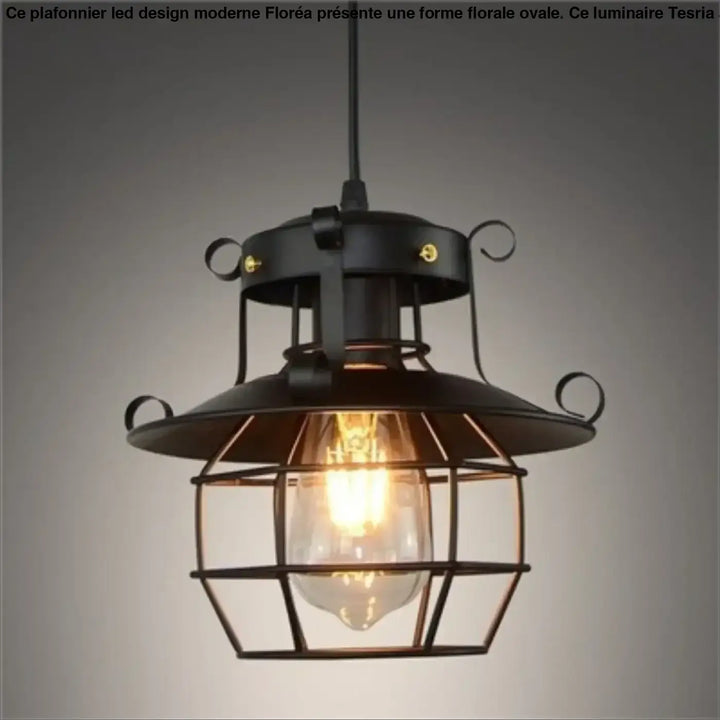 Suspension Industrielle Noire Style Lanterne Métal Et Verre

