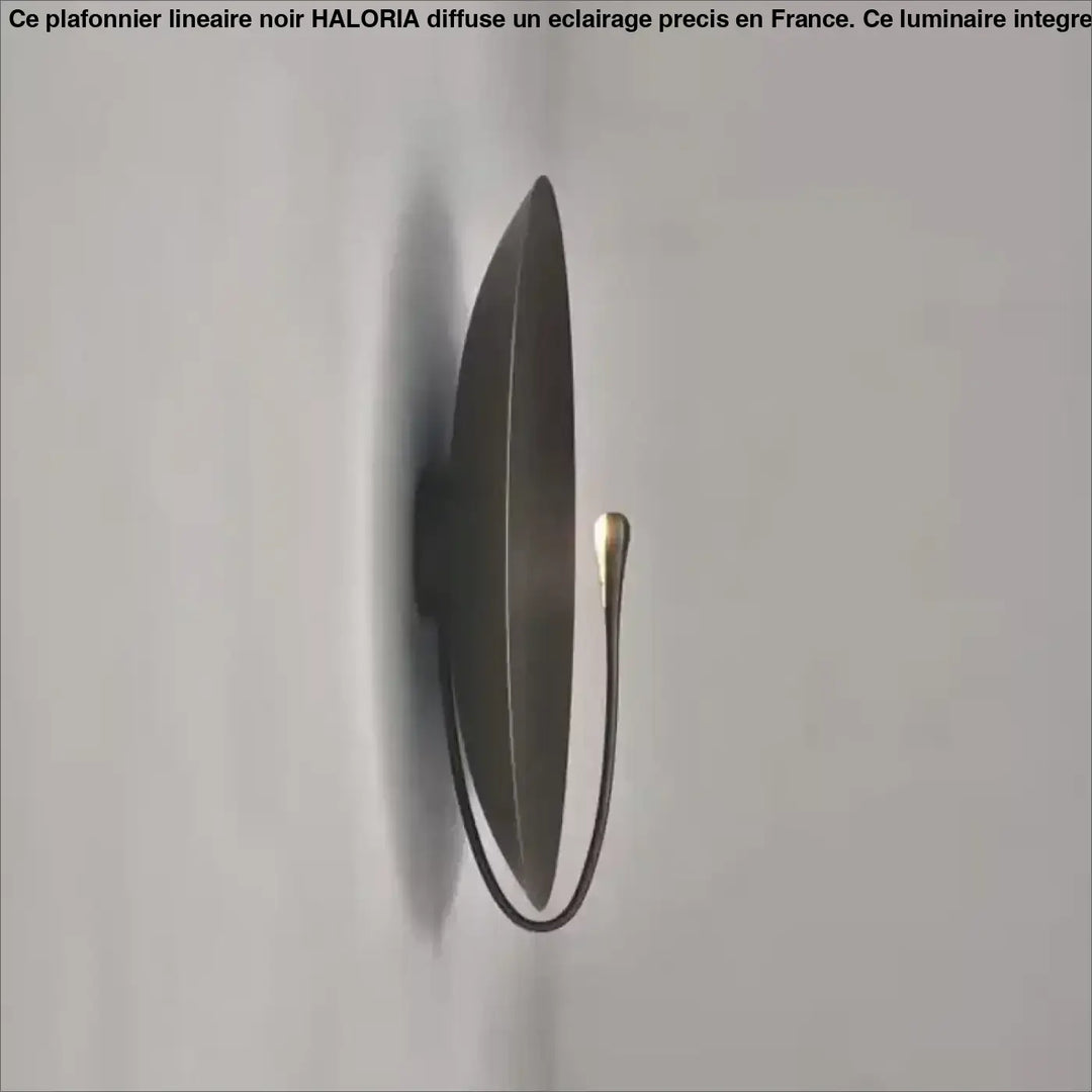 Applique Murale Artistique Cercle Coloré Et Laiton Fin

