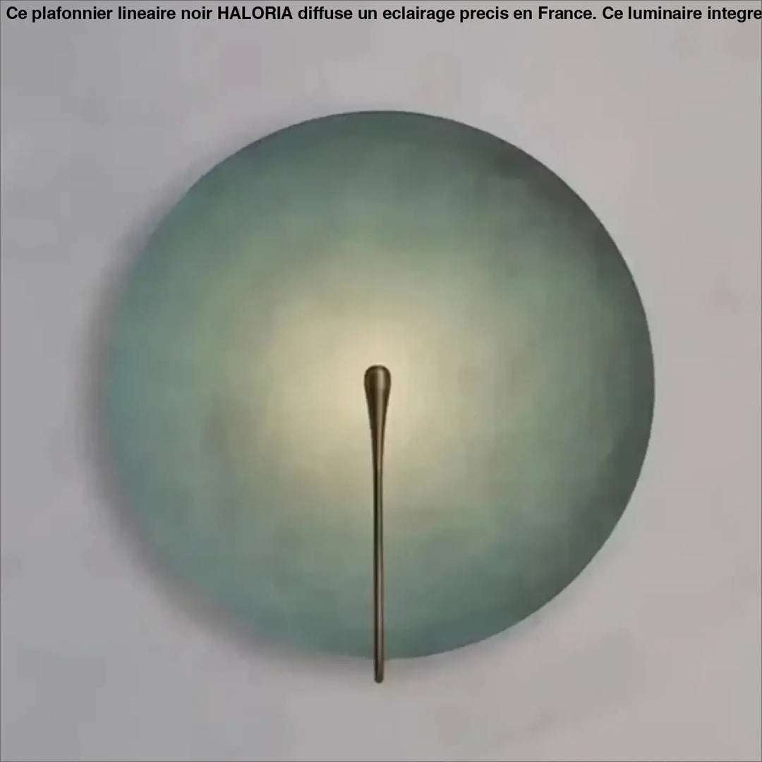 Applique Murale Artistique Cercle Coloré Et Laiton Fin

