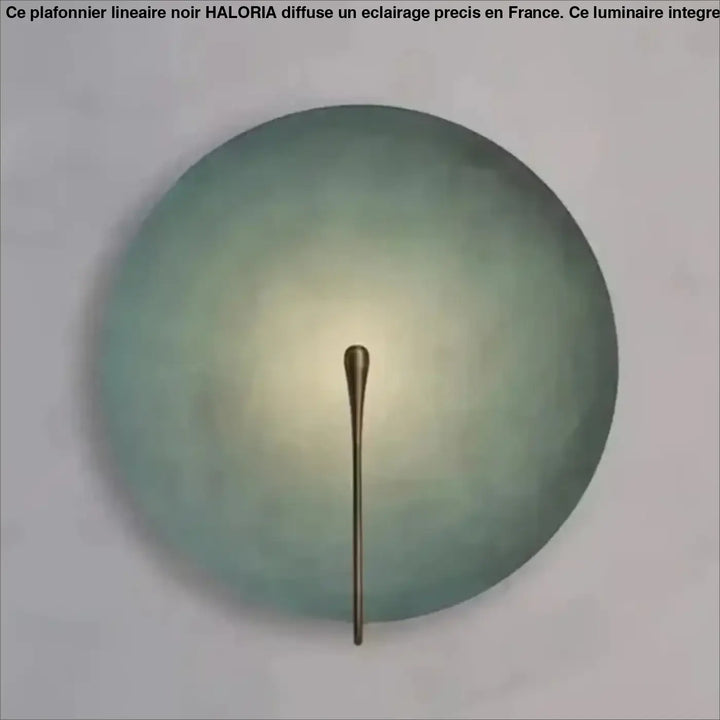 Applique Murale Artistique Cercle Coloré Et Laiton Fin

