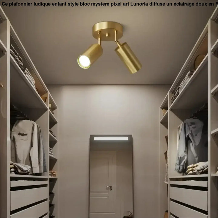 Postmodern Style Ceiling Lamp Spotlight Down Light Iron Gold 2/3/4Heads Aisle Corridor Store Lighting Adjustable