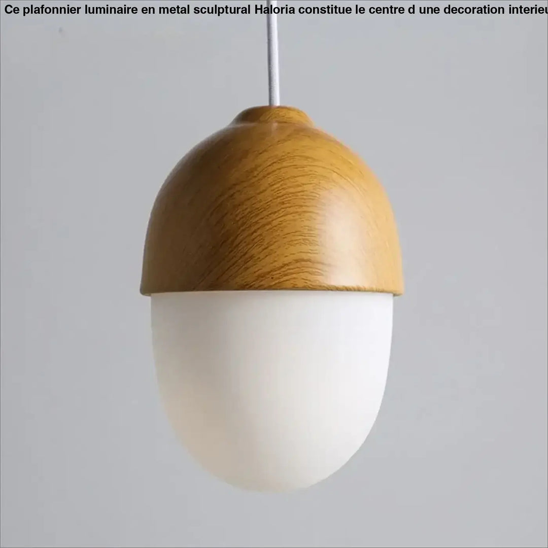 Suspension luminaire en bois avec lumière blanche au style naturel