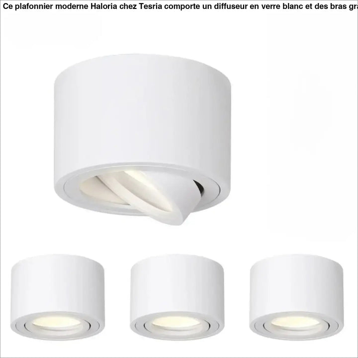 Luminaire plafonnier trigo blanc cylindre led ajustable avec saillie orientable pour éclairage led ajustable moderne