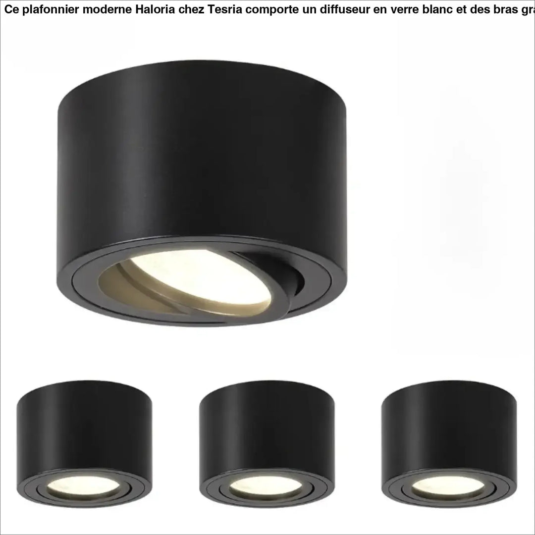Luminaire plafonnier trigon noir mat avec éclairage led ajustable et saillie orientable pour un éclairage ciblé
