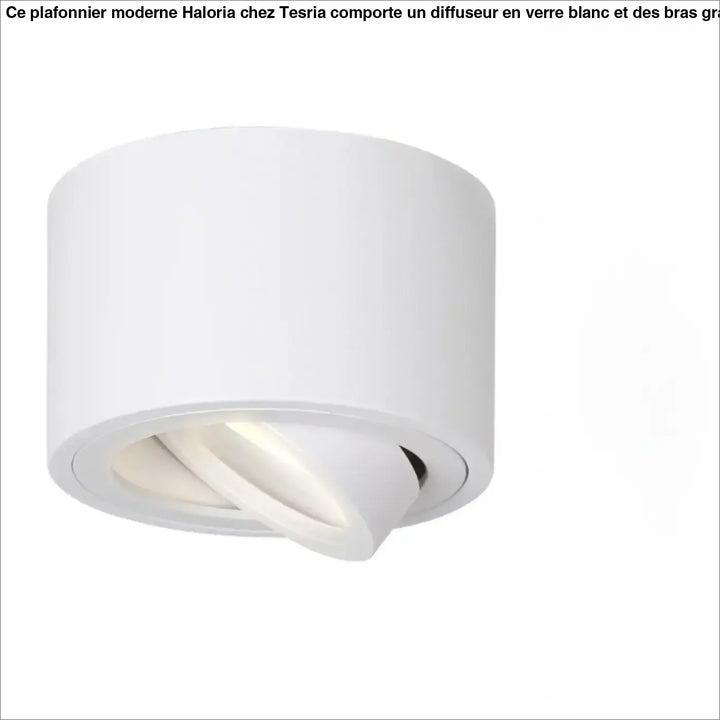 Luminaire plafonnier trigo blanc avec éclairage led ajustable et saillie orientable design moderne et cylindrique