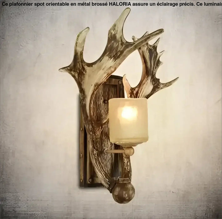 Applique Murale Rustique Avec Bois De Cerf Et Verre Givré