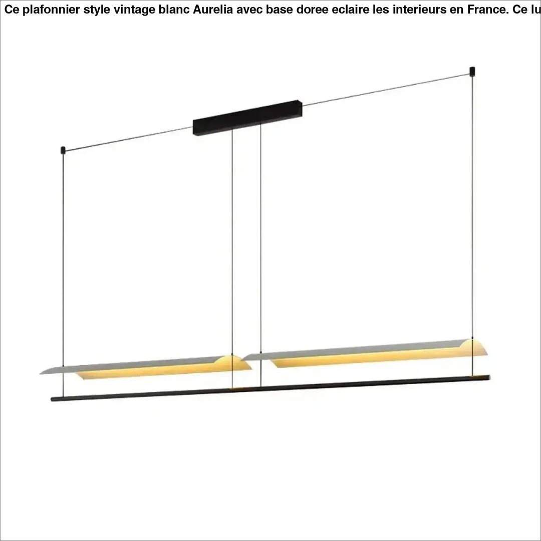 Suspension contemporaine minimaliste noir style chic