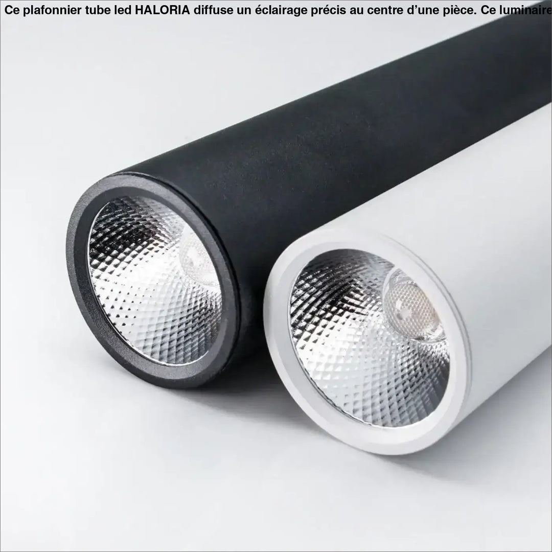 Deux plafonniers tube led cylindriques élégants avec finitions matte noire et blanche pour éclairage moderne