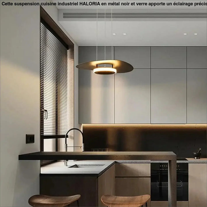 Suspension Cuisine Industriel Double Disque