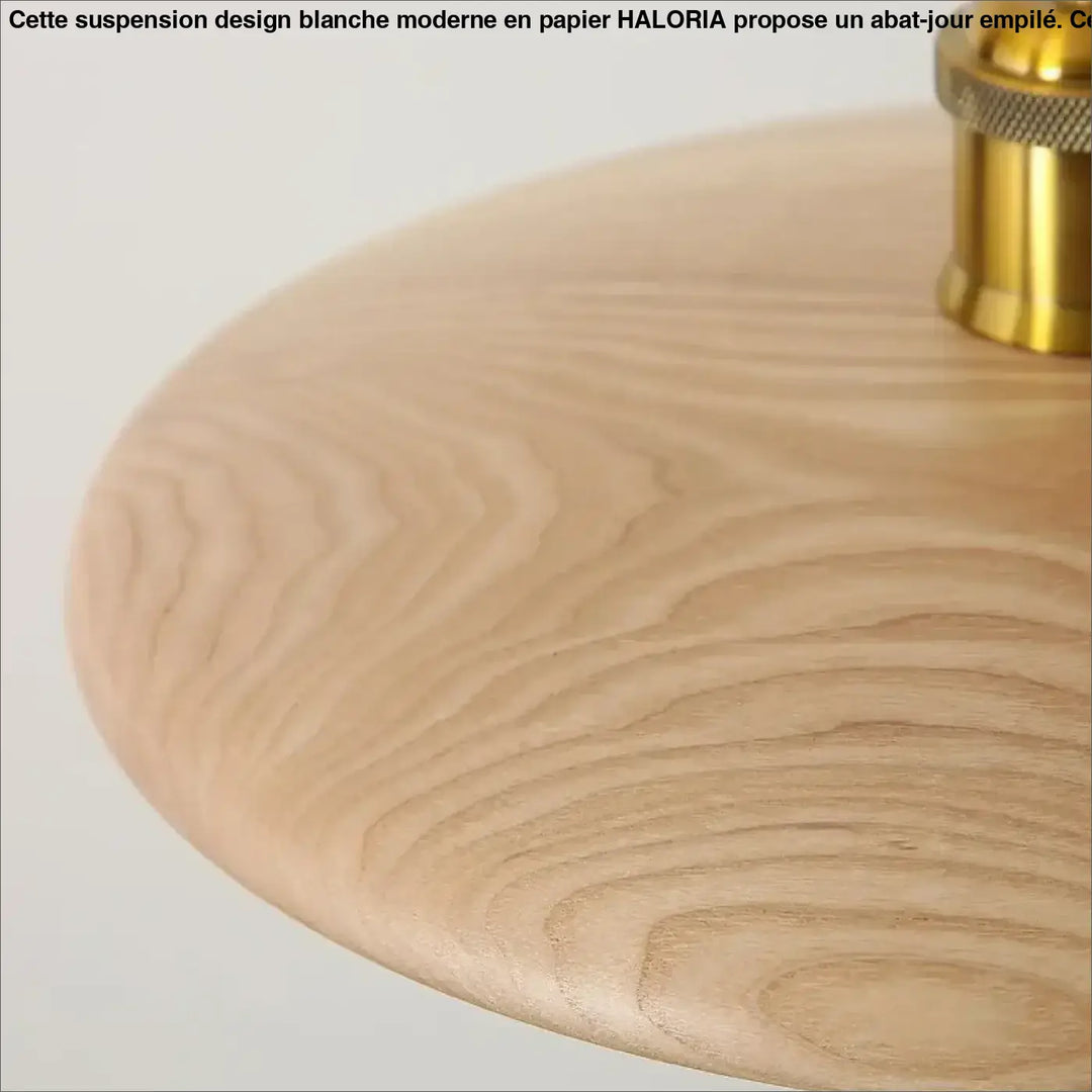 Suspension en bois naturel avec abat-jour rond style minimaliste