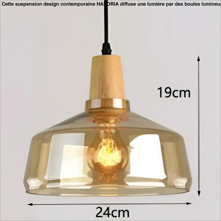 Suspension luminaire en verre fumé et bois design moderne élégant