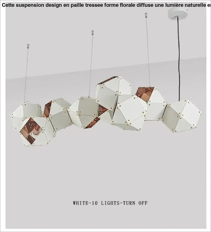 Suspension luminaire géométrique moderne ajustable chic