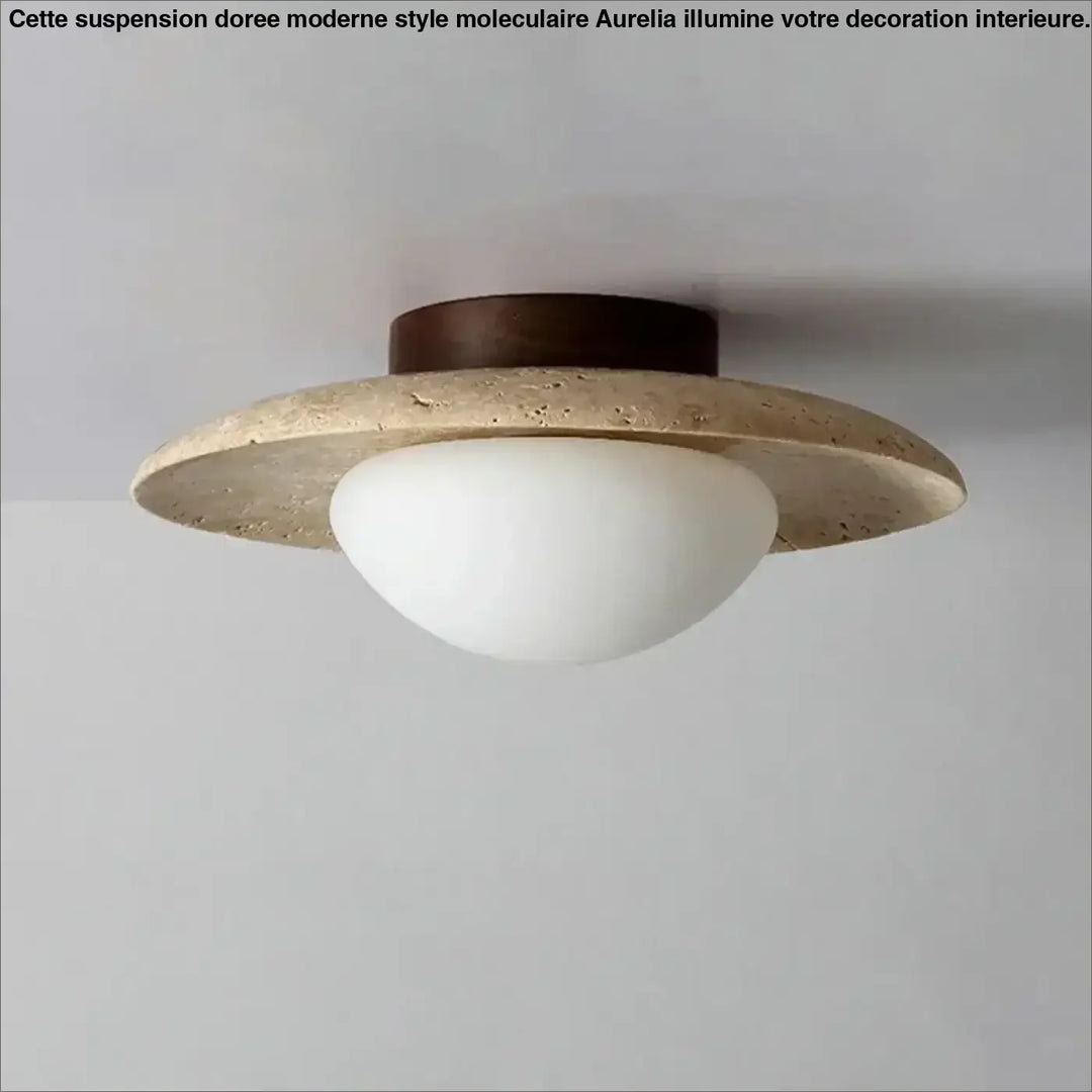 Plafonnier Chic Avec Diffuseur Rond Et Anneau Doré


