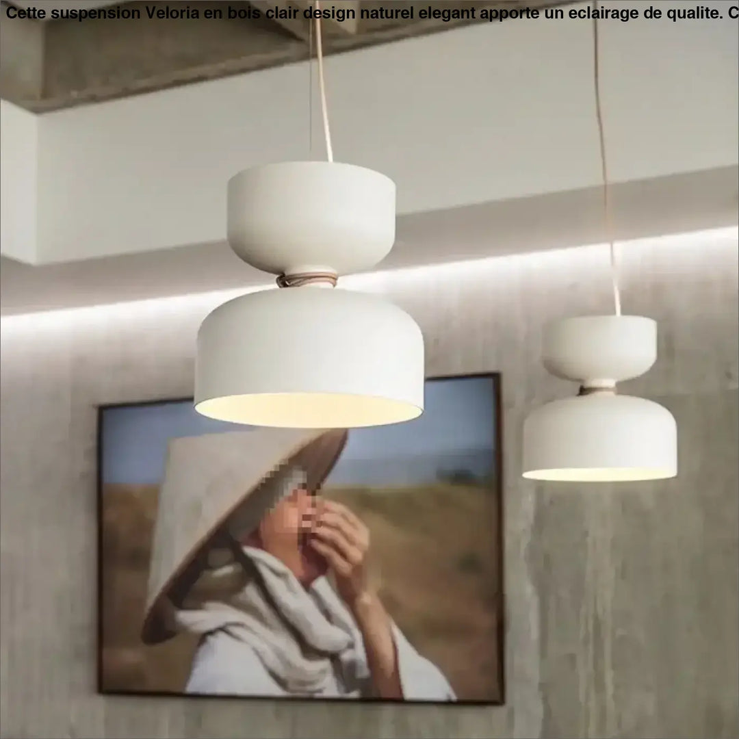 Suspension luminaire minimaliste en métal au style scandinave