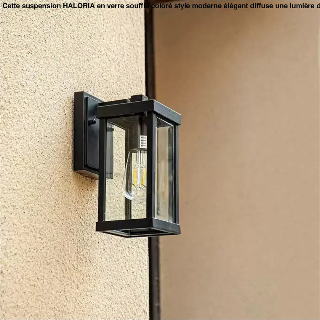 Applique murale noir extérieur en verre clair à la lumière chaude