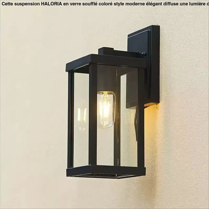 Applique murale noir extérieur en verre clair à la lumière chaude