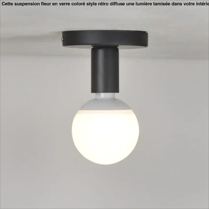 Plafonnier Minimaliste Noir À Ampoule Globe Apparente

